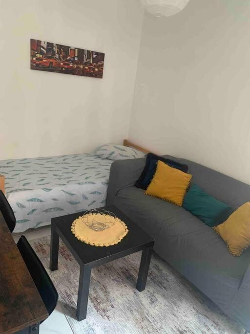 Dijon: Superbe Appartement En Hyper Centre Buitenkant foto