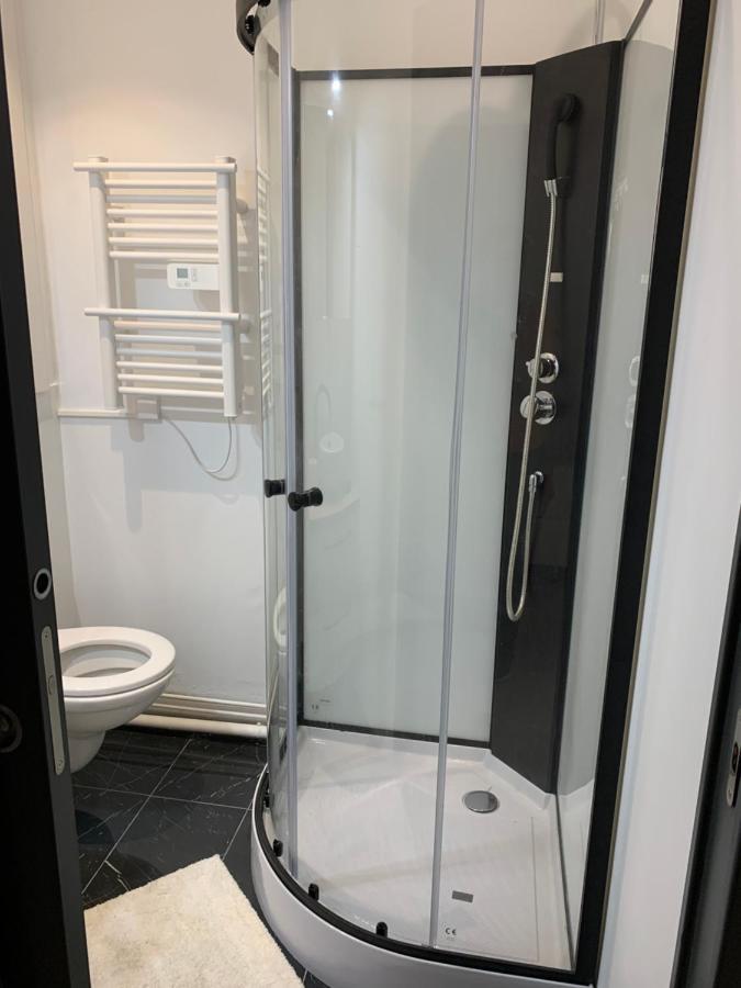 Dijon: Superbe Appartement En Hyper Centre Buitenkant foto